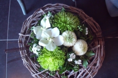 DSCF5271