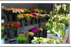 Magasin1