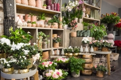 Magasin3