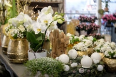 Magasin5