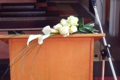 DSCF3103