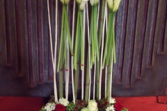 DSCF3911